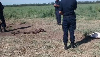 ¿Fin a la impunidad? Detuvieron al “Negro Ino”, conocido cuatrero