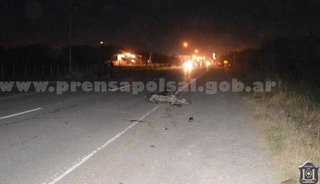 Motociclista chocó un caballo y murió