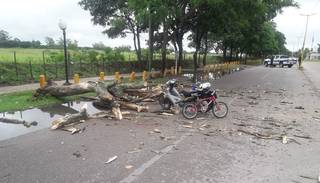 Operaron al niño que fue aplastado por un árbol cuando paseaba en bicicleta