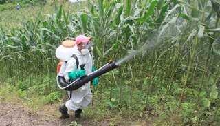 Alerta sanitaria por los mil casos de dengue en Bermejo