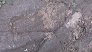 La policía de San Luis, tras los pasos de un humanoide