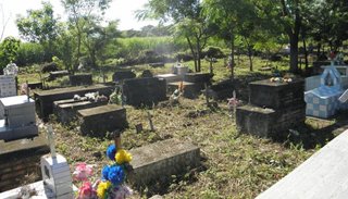 Labores de desmalezado