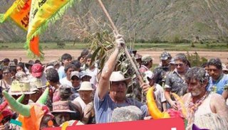 Carnaval de Flores