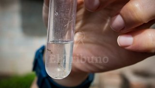 Confirmaron 362 casos de dengue en la provincia
