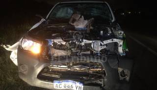 Animales sueltos provocaron un accidente en zona norte