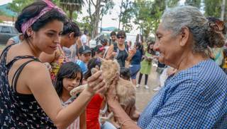 Buscan castrar más mascotas