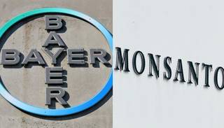Las acciones de Bayer caen tras el fallo judicial en su contra por el supuesto efecto cancerígeno de un hervicida