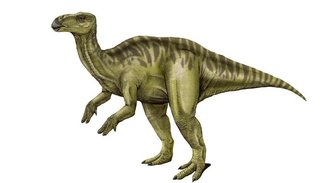 Hallaron en Argentina una nueva especie de dinosaurio hervíboro