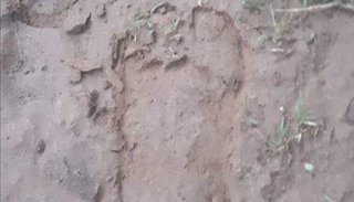 Apareció una huella gigante en una finca ¿Otra vez el Ucumar?