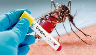 Llegan a 160 los casos de dengue confirmados en Salta