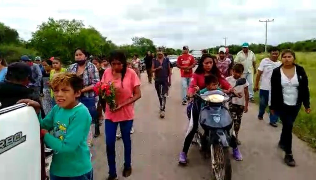 El Lirio De La Paz No Est Floreciendo Razones Por Las Que Un Lirio