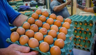 Economía familiar:  por una docena de  huevos piden $250