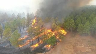 Incendios en Corrientes: Se quemaron más de 1 millón de hectáreas