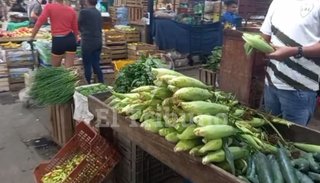 VIDEO. El choclo tampoco escapa a la suba de precios: cuánto cuesta cocinar humitas