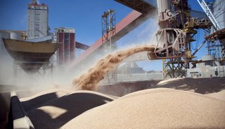 El Gobierno cierra las exportaciones de aceite y harina de soja