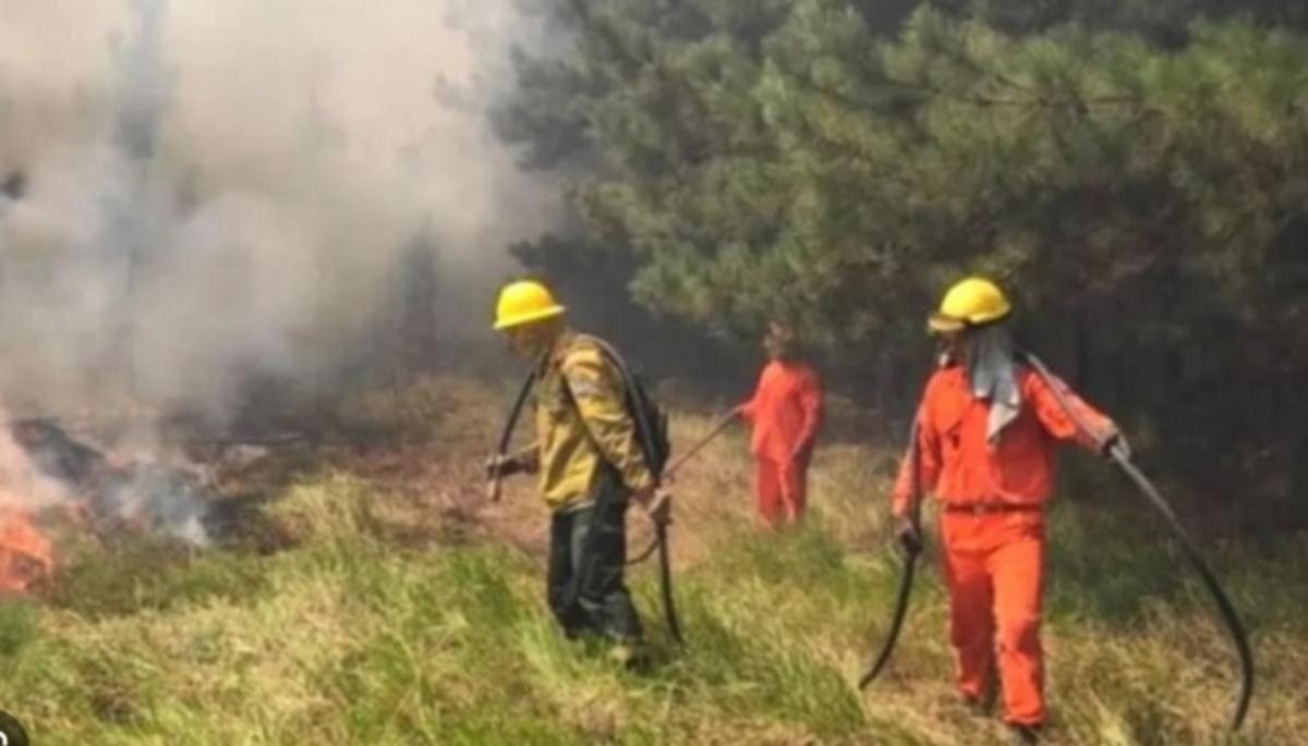 Continúan los incendios forestales en distintas provincias