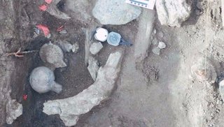 El hombre llegó a América 115 mil años antes de lo que se creía