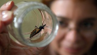 La Anmat aprobó un medicamento para tratar el Mal de Chagas en niños de hasta dos años