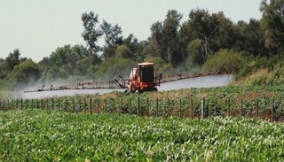 Prohibieron la comercialización y el uso del glifosato en Gualeguaychú