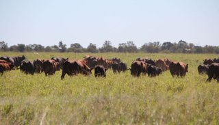 La hora del desarrollo rural