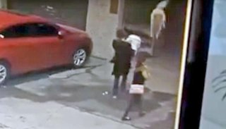 VIDEO: perro cayó del cielo y dejó inconsciente a una mujer en plena calle