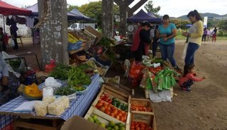 Se lanzó la feria municipal