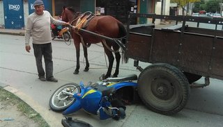 Un accidente reavivó la polémica por los carros tracción a sangre en la ciudad