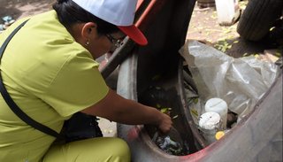 Confirmaron 81 casos de dengue