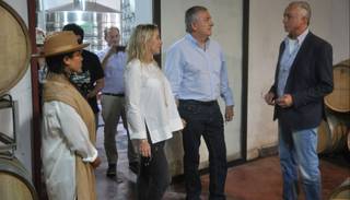 Tiempo de recolección de las uvas