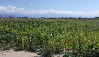Pedido de informe por las obras eléctricas del Parque Independencia