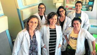 Investigadores salteños ensayan una vacuna para el mal de Chagas