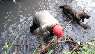 Más perros se unen a la búsqueda de la joven