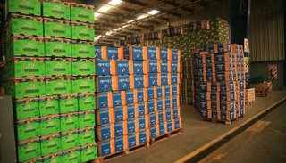 Salta exportará limones a Estados Unidos