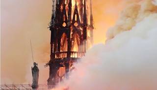 El milagro de las 200 mil abejas que sobrevivieron al incendio de Notre Dame