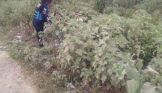 Una pareja mantenía relaciones en un baldío del barrio 2 de Abril