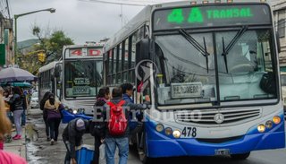 Apoyo de pasajeros y choferes a los cinturones en colectivos