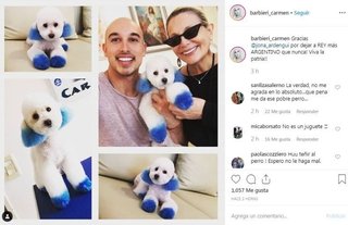 Duras críticas a Carmen Barbieri por teñir a su perrito de azul