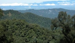 Jujuy, la mejor en rendición de la Ley de Bosques