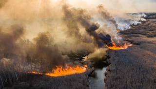 Alerta mundial por los incendios que acechan a la planta nuclear de Chernobyl