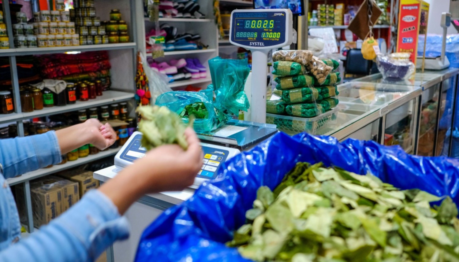 Insólito: el kilo de hojas de coca se vende a 14 mil pesos