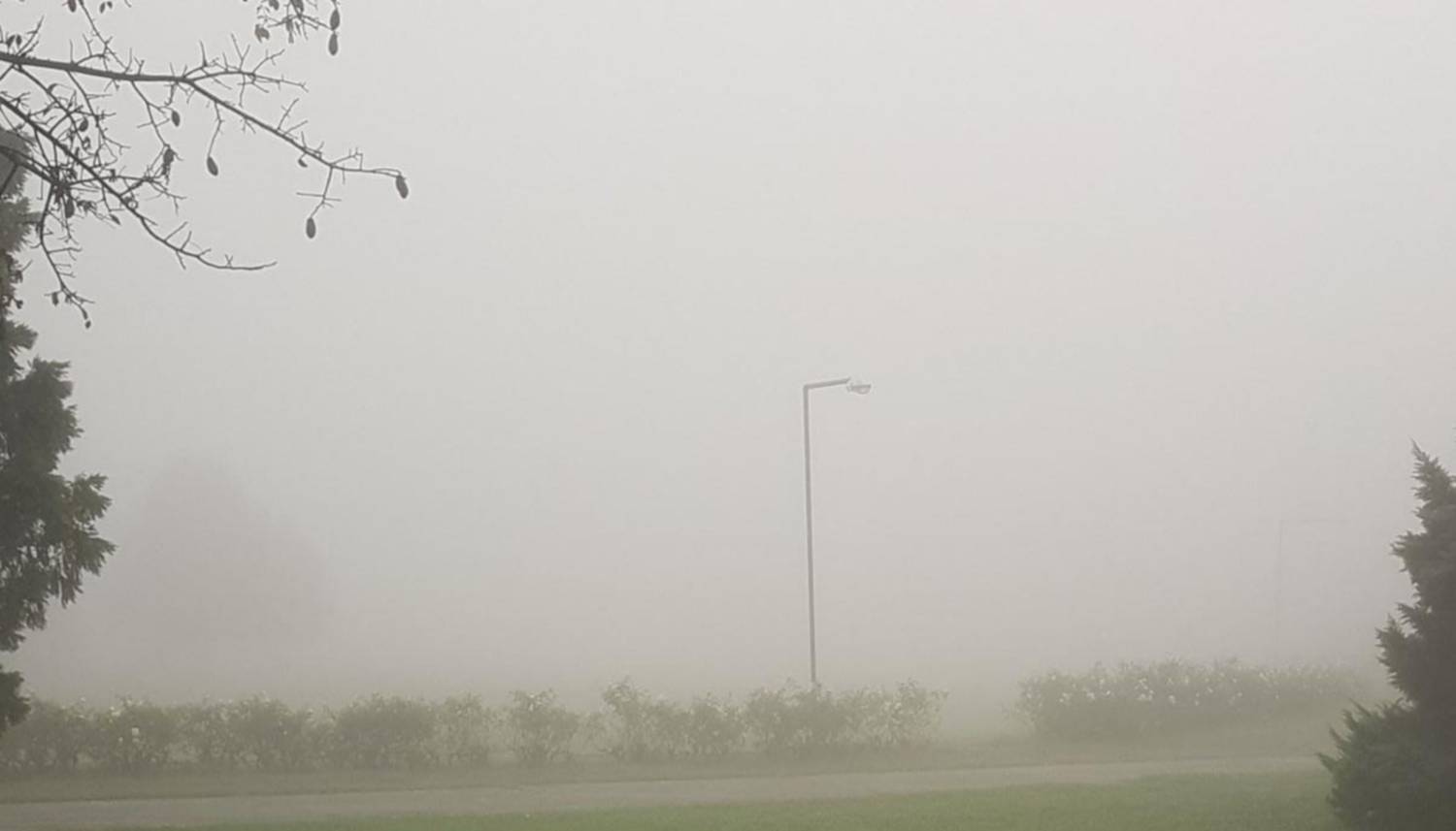 Una densa neblina cubrió la zona sur desde muy temprano hasta que