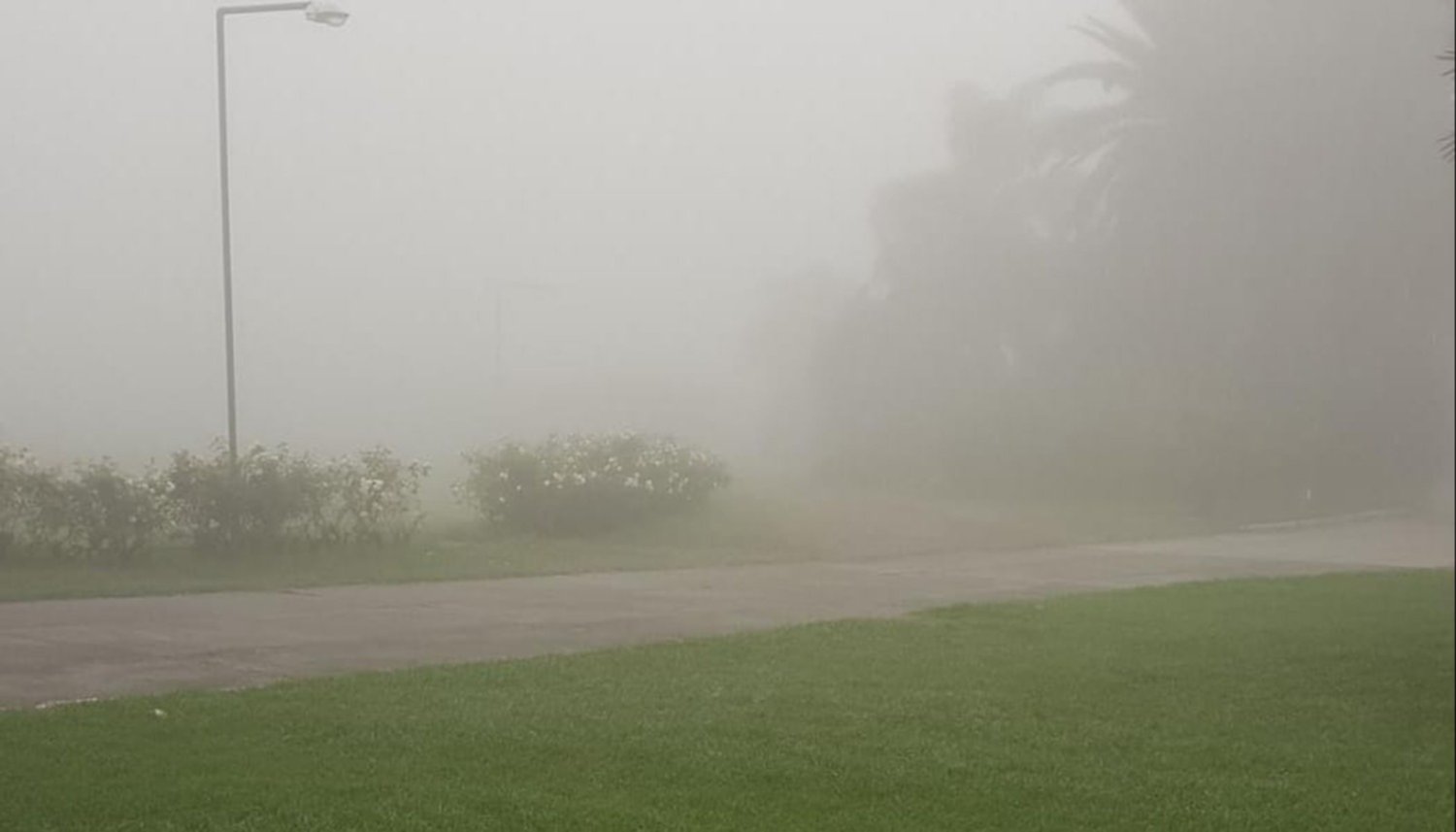 Una densa neblina cubrió la zona sur desde muy temprano hasta que