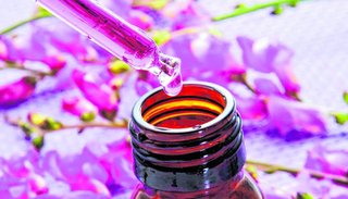 Flores de Bach: La armonización a través de una terapia floral