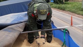 Secuestran más de 89 tn de granos en la frontera