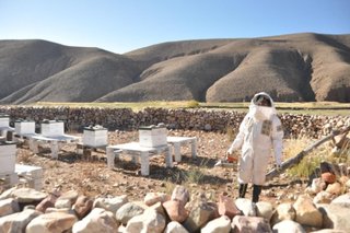 Presentaron a nivel internacional la miel de altura producida por campesinos de la Quebrada del Toro