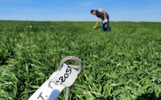 Planificar e innovar: las claves para arrancar la campaña 