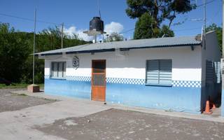 Una mujer embistió una vaca que se le atravesó en la ruta