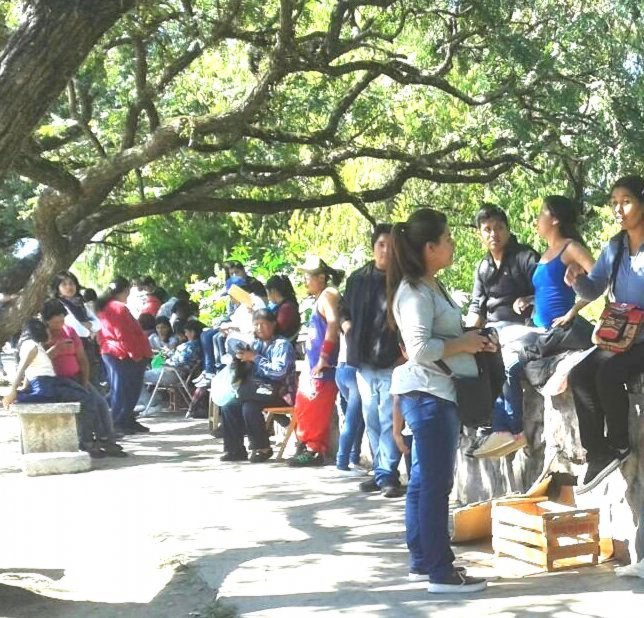 Fila Interminable Para Poder Sacar El Nuevo Dni