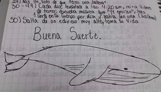 Investigan 8 casos del juego "La Ballena Azul" en Argentina