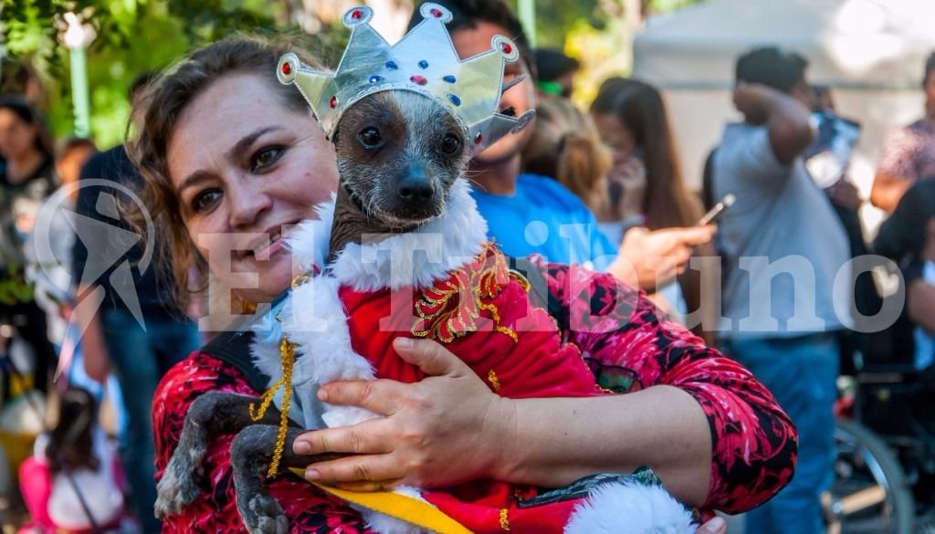 El desfile de mascotas. Fotos: Pablo Yapura El desfile de mascotas. Fotos: Pablo Yapura